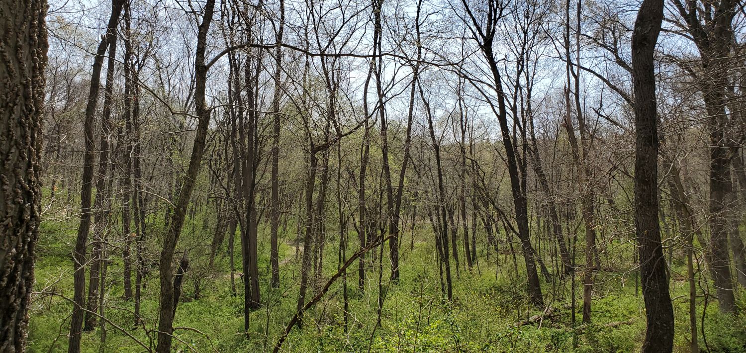 Castle Rock State Park 